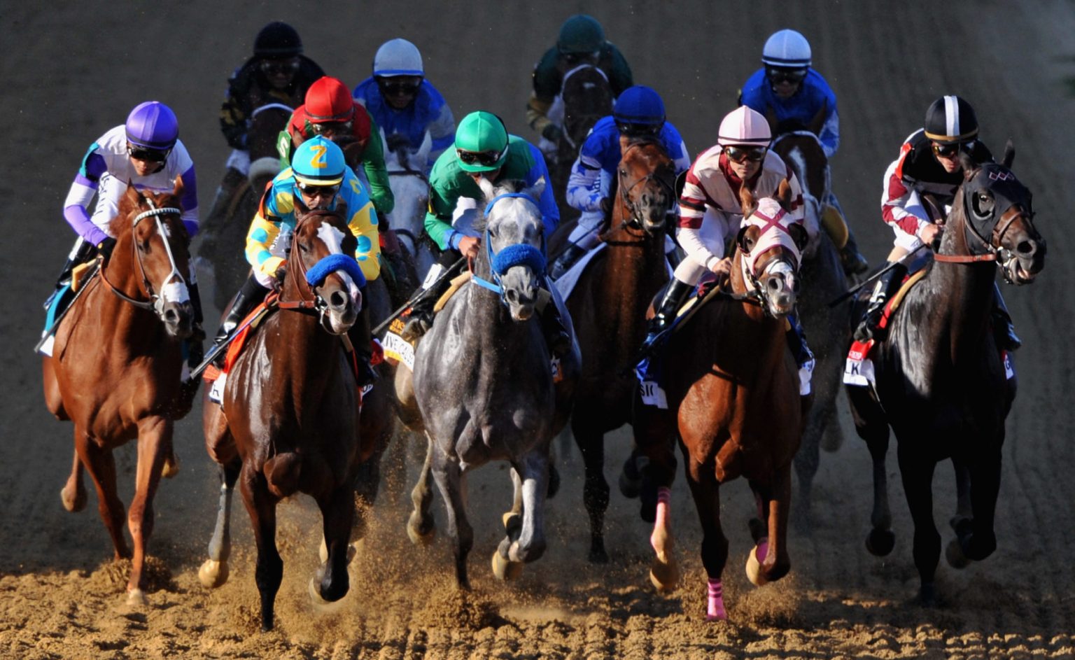 Belmont Stakes 2024 Preview & Trends ILFC